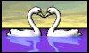 2 cigni cuore.gif